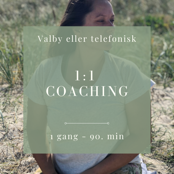 1:1 coaching telefonisk eller i Valby