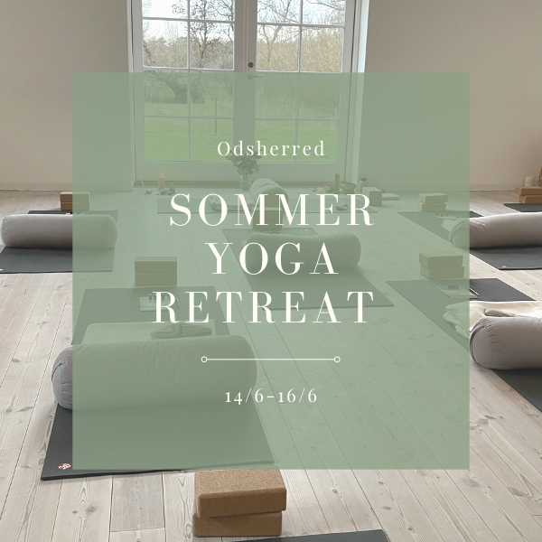 Sommer yoga retreat