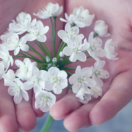 Kom tilbage til dig selv og i balance