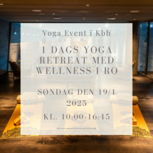 1 dags yoga og spa retreat i Kbh den 19/1 -2025