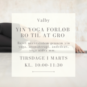 Yin yoga forløb – marts 2025