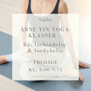 Yin yoga – åbne klasser – Fredage kl. 8:00-9:15 i Valby