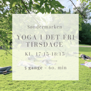 Yoga i det fri 5 gange i juni og august