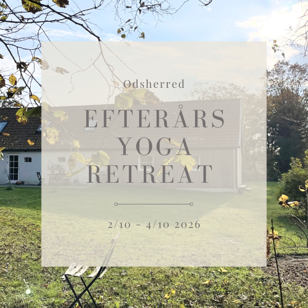 Efterårs yoga retreat 2026