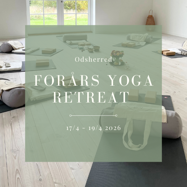Forårs yoga retreat 2026